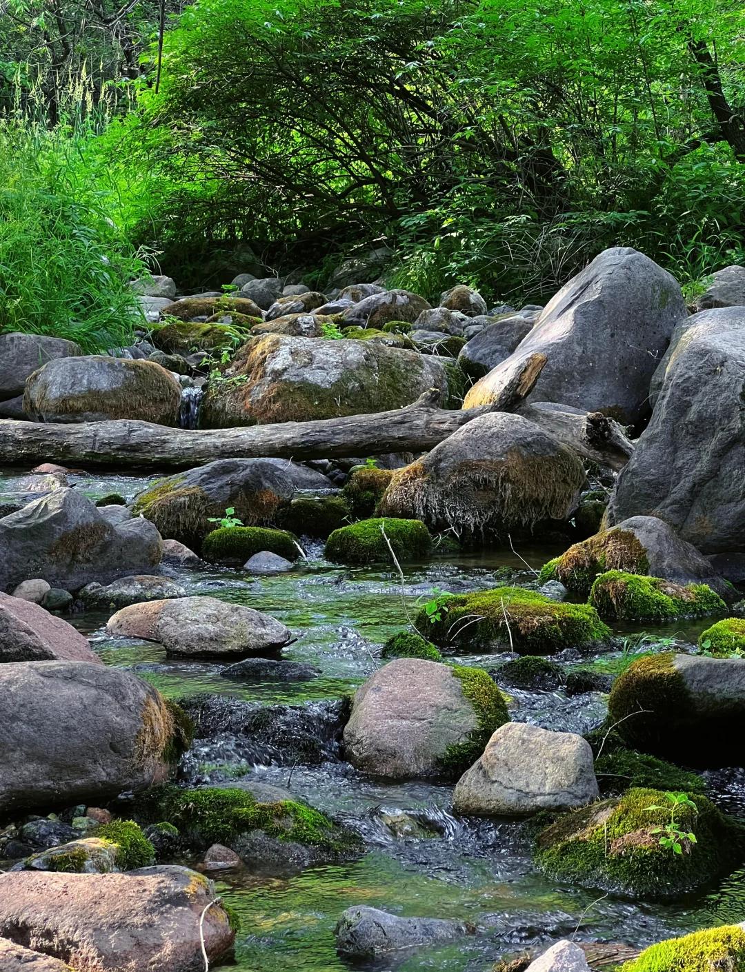 北京玉渡山(北京玉渡山好玩吗)